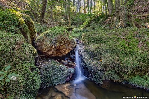 Gemeinde Stubenberg Landkreis Rottal-Inn Amering Ameringer Graben (Dirschl Johann) Deutschland PAN